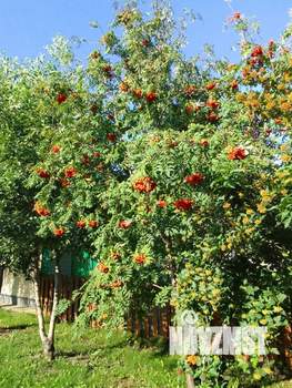 Коттедж 143м², 2-этажный, участок 8 сот.