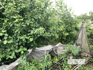 Дом 49м², 2-этажный, участок 5 сот.