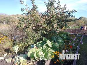 Дача 17м², 2-этажный, участок 3 сот.