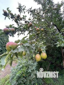 Дом 15м², 1-этажный, участок 3 сот.