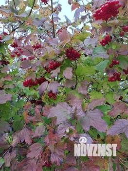 Дом 50м², 2-этажный, участок 16 сот.