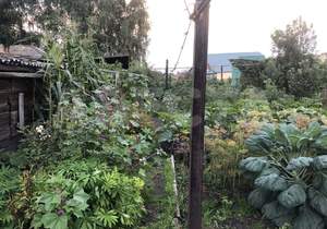 Дом 72м², 1-этажный, участок 4 сот.