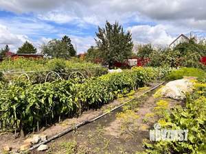 Дом 50м², 2-этажный, участок 10 сот.