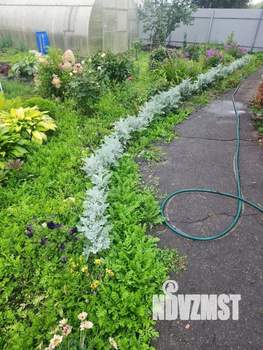 Дом 50м², 2-этажный, участок 8 сот.