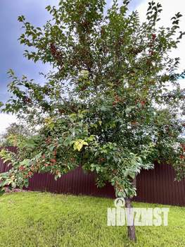 Дом 76м², 2-этажный, участок 10 сот.