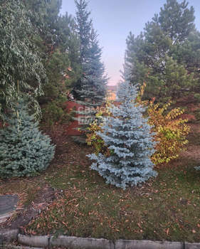 Дом 320м², 2-этажный, участок 10 сот.