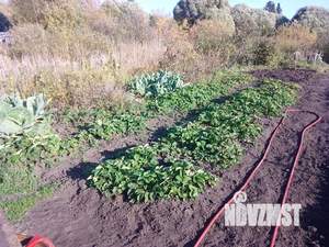 Дача 17м², 2-этажный, участок 3 сот.