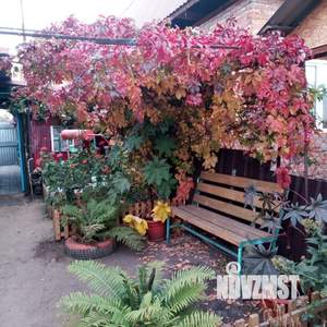 Дом 62м², 1-этажный, участок 3 сот.