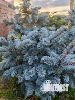 Дача 20м², 1-этажный, участок 10 сот.