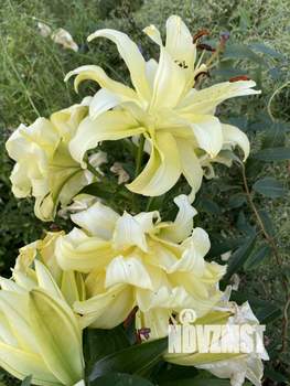 Дом 40м², 2-этажный, участок 6 сот.