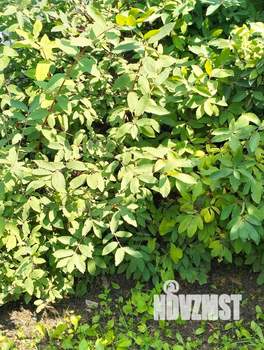 Дом 34м², 2-этажный, участок 6 сот.