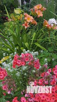 Дача 9м², 2-этажный, участок 11 сот.