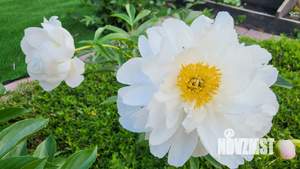 Дача 38м², 2-этажный, участок 4 сот.