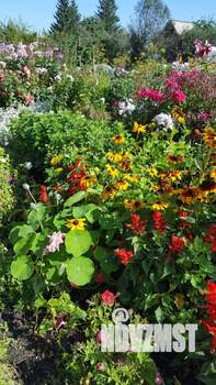 Дача 9м², 2-этажный, участок 11 сот.