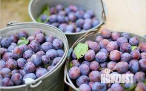 Дом 10м², 1-этажный, участок 7 сот.