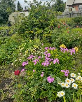 Дом 18м², 1-этажный, участок 10 сот.