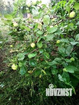 Дом 25м², 2-этажный, участок 5 сот.