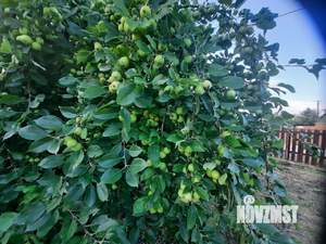 Дом 32м², 2-этажный, участок 7 сот.