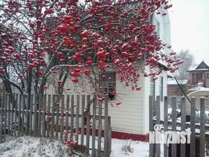 Дом 42м², 2-этажный, участок 5 сот.