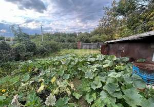 Дом 62м², 1-этажный, участок 13 сот.