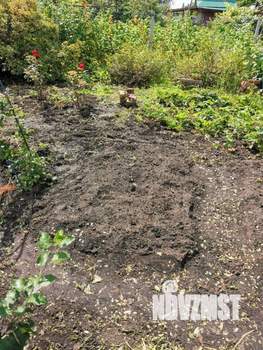 Дом 17м², 1-этажный, участок 484 сот.