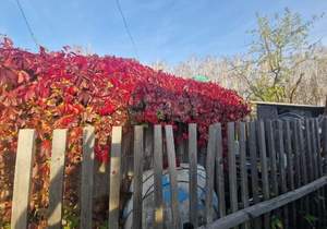 Дом 20м², 2-этажный, участок 5 сот.