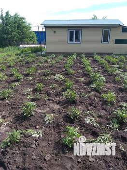 Дом 30м², 1-этажный, участок 6 сот.