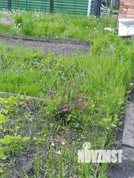 Дом 25м², 1-этажный, участок 6 сот.