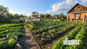 Дом 24м², 1-этажный, участок 7 сот.