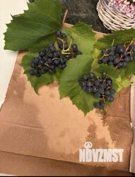 Дом 18м², 2-этажный, участок 10 сот.