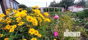 Дача 35м², 1-этажный, участок 6 сот.