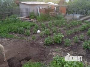 Дом 24м², 1-этажный, участок 7 сот.