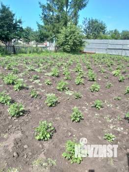 Дом 30м², 1-этажный, участок 6 сот.