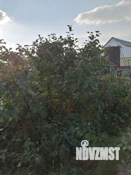 Дача 18м², 1-этажный, участок 550 сот.