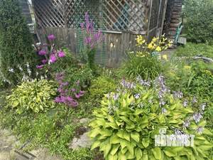 Дача 50м², 2-этажный, участок 5 сот.