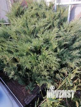 Дача 18м², 1-этажный, участок 550 сот.