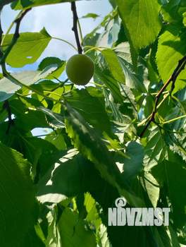 Дом 34м², 2-этажный, участок 6 сот.