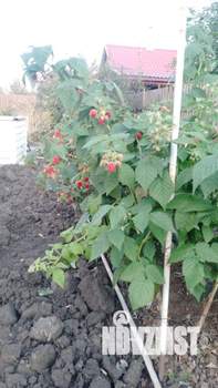 Дача 40м², 2-этажный, участок 5 сот.