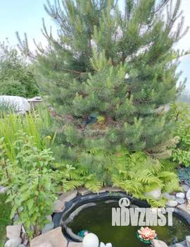 Дом 34м², 2-этажный, участок 7 сот.