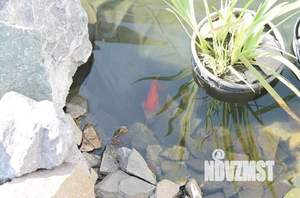 Дом 110м², 2-этажный, посуточно, 