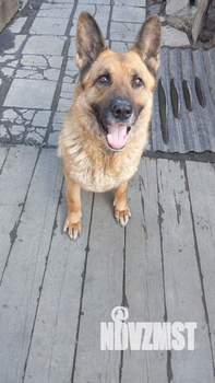 Дом 45м&sup2;, 1-этажный, на длительный срок, 