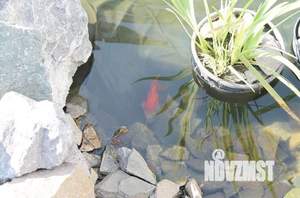 Дом 110м&sup2;, 2-этажный, посуточно, 