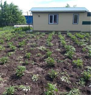 Дом 30м&sup2;, 2-этажный, участок 6 сот.  