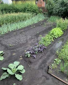 Дом 50м&sup2;, 2-этажный, участок 5 сот.  