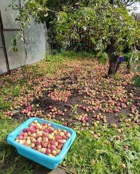 Дом 42м&sup2;, 2-этажный, участок 5 сот.  