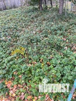 Дача 60м&sup2;, 2-этажный, участок 5 сот.  