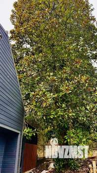 Коттедж 216м&sup2;, 2-этажный, участок 7 сот.  