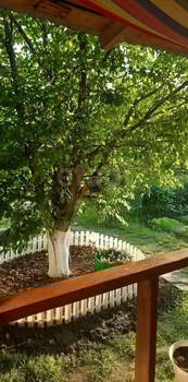 Дом 50м&sup2;, 2-этажный, участок 6 сот.  