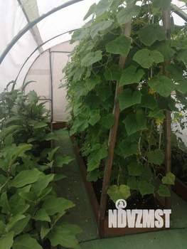 Дом 20м&sup2;, 2-этажный, участок 6 сот.  