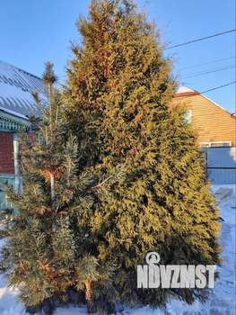 Дом 35м&sup2;, 1-этажный, участок 8 сот.  